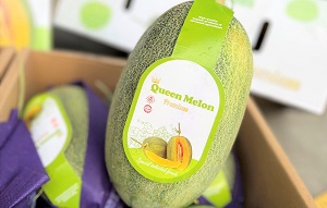 Dưa lưới Đài Loan