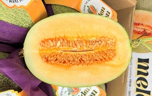 Dưa lưới Đài Loan