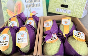 Dưa lưới Đài Loan