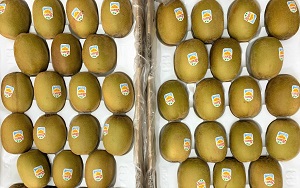 Kiwi vàng 