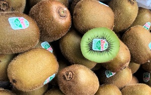 Kiwi xanh 