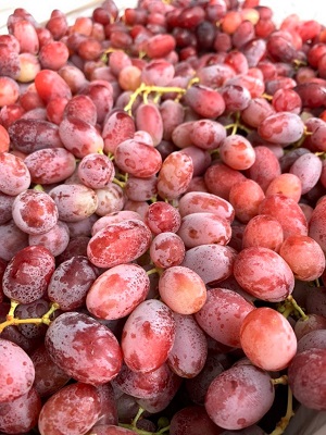 Nho đỏ Úc