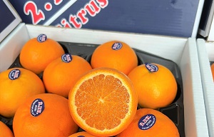 Quýt Úc 2PH