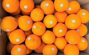 Cam Cara ruột đỏ Mỹ