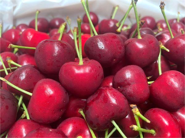 Bán Cherry tại Hà Nội