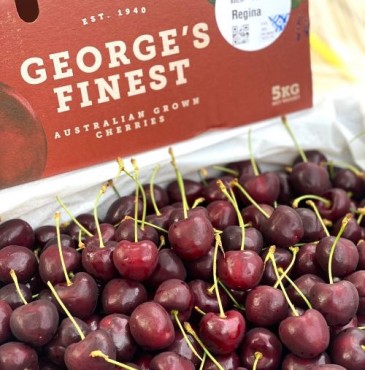 Cherry Regina Úc