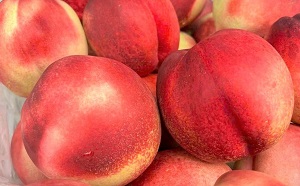 bán quả xuân đào Úc