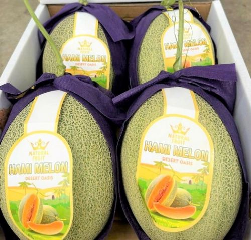 Dưa lưới Đài Loan