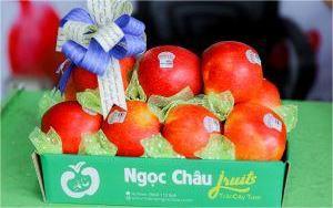 Táo envy hộp 11 trái 