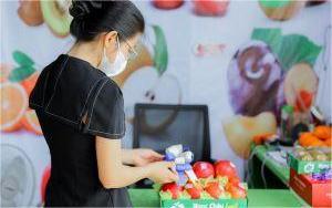 Táo envy hộp 11 trái 