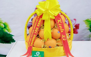 Cam Cara ruột đỏ Mỹ