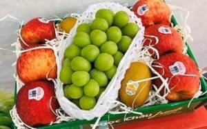 Hoa quả nhập khẩu Ngọc Châu fruits