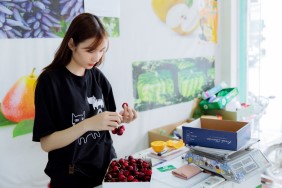 Táo envy hộp 11 trái 