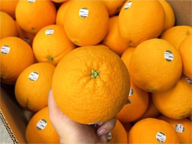 Hoa quả nhập khẩu