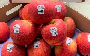 Hoa quả nhập khẩu Tây Hồ