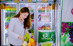 Hoa quả nhập khẩu Tây Hồ