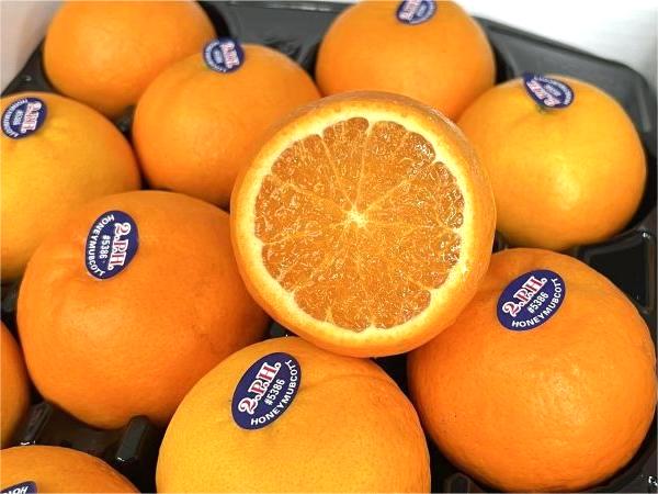 quýt Úc