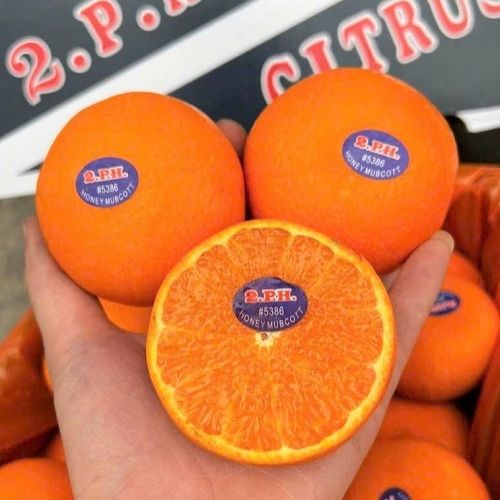 Quýt Úc 2PH