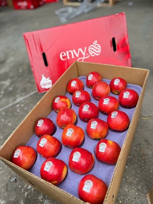 táo Envy size 100 