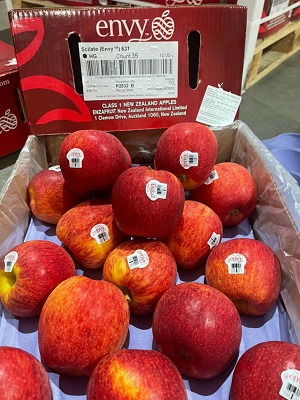 Táo Envy New Zealand size 90