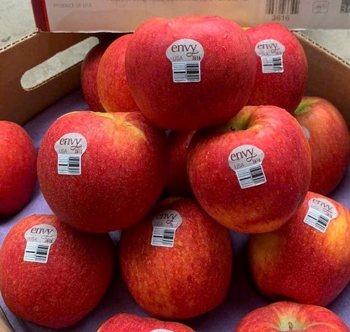 Táo Envy Mỹ size 24